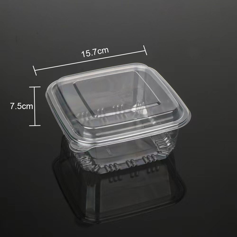 https://m.hengmaster.com/photo/pl82607910-pastry_preserved_fruits_square_clear_plastic_to_go_containers_for_bakery_cookie_boxes.jpg